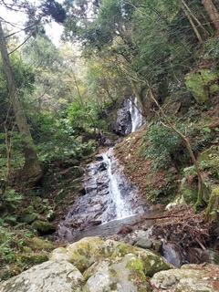 20171125_085551.jpg