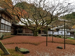 20171125_123803.jpg