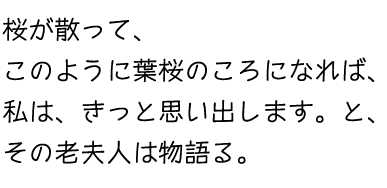 hazakura.gif