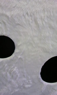 shirokuma_02.jpg